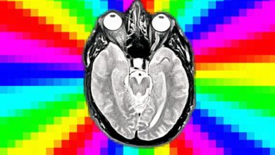Clickbait prejudica eficácia de modelos de AI na cultura digital