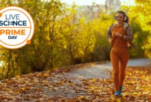 Pesquisa destaca 7 descontos fitness antes da Black Friday