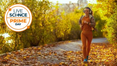 Pesquisa destaca 7 descontos fitness antes da Black Friday