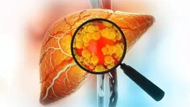 Estudo revela causa real de mortes por doença hepática
