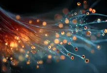 Cientistas revelam segredo quântico e impulsionam energia solar