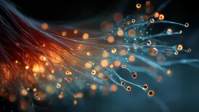 Cientistas revelam segredo quântico e impulsionam energia solar