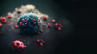 Estudo identifica centros secretos de câncer e propõe solução