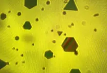 Pesquisa revela forças ocultas ligando flocos de ouro