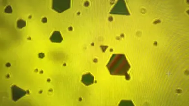 Pesquisa revela forças ocultas ligando flocos de ouro