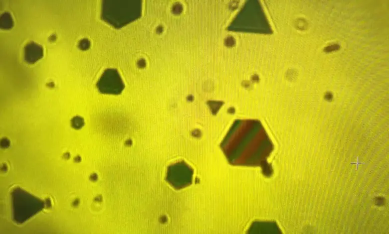 Pesquisa revela forças ocultas ligando flocos de ouro