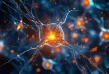 Cientistas identificam origem do Parkinson em estudo