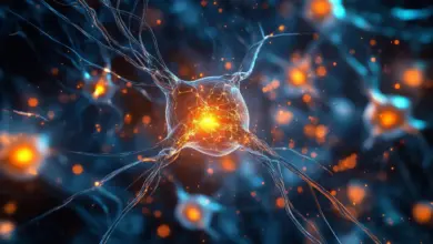Cientistas identificam origem do Parkinson em estudo