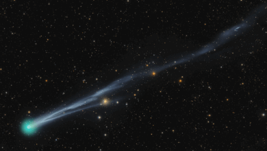 Cometa Lemmon poderá ser visto a olho nu em outubro
