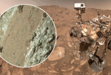 NASA investiga rover Perseverance e amostras de Marte