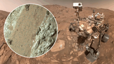 NASA investiga rover Perseverance e amostras de Marte