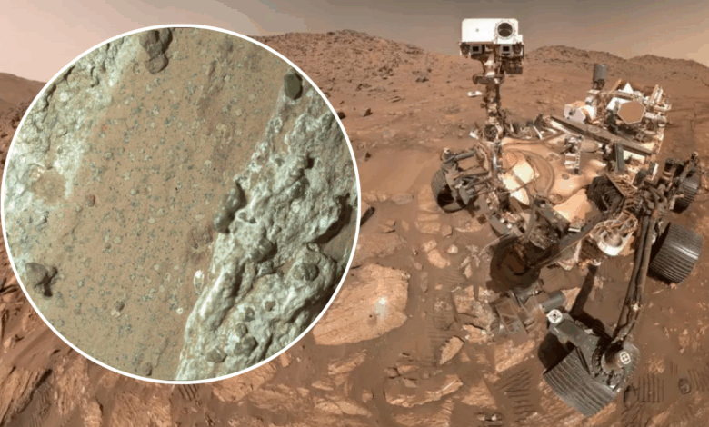 NASA investiga rover Perseverance e amostras de Marte