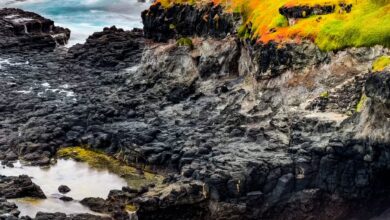 Pesquisa revela termostato oculto que pode intensificar resposta climática