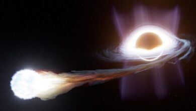 NASA investiga buraco negro que destrói estrela de forma inusitada