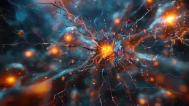 Estudo identifica molécula que pode frear Parkinson