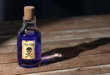 AI poisoning: máquina aprende a enganar sistemas de ML