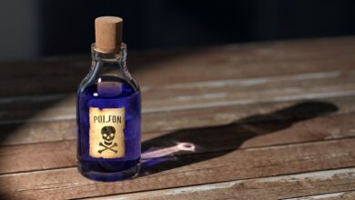 AI poisoning: máquina aprende a enganar sistemas de ML