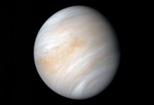 NASA estuda asteroides em órbita de Vênus que ameaçam Terra