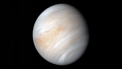 NASA estuda asteroides em órbita de Vênus que ameaçam Terra