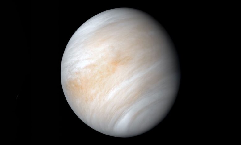 NASA estuda asteroides em órbita de Vênus que ameaçam Terra