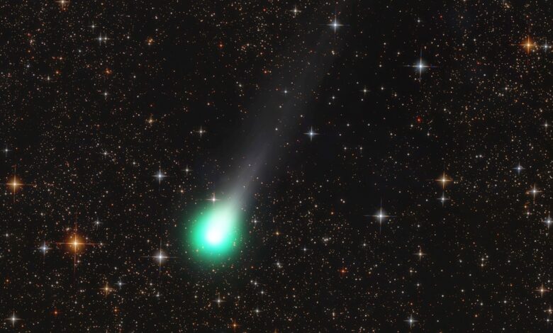 Astronomia destaca cometas Lemmon e SWAN mais visíveis