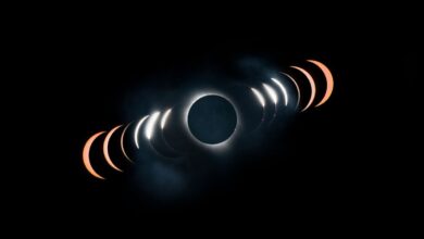 NASA observa eclipse solar que confunde aves com 'falso amanhecer'
