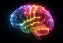 Cientistas sugerem em estudo que cérebro opera com 7 sentidos