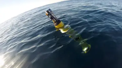 Nova pesquisa revela impacto das ondas de calor nos oceanos