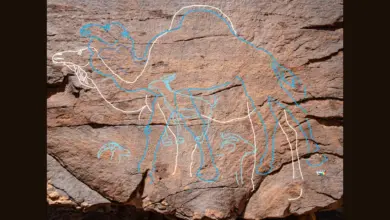 Descoberta arqueológica revela arte rupestre de 12 mil anos na Arábia