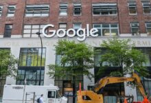 Google enfrenta problemas de insetos em suas oficinas de cultura