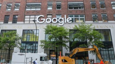 Google enfrenta problemas de insetos em suas oficinas de cultura