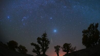 Meteoros Orionids iluminam céu em noite sem lua
