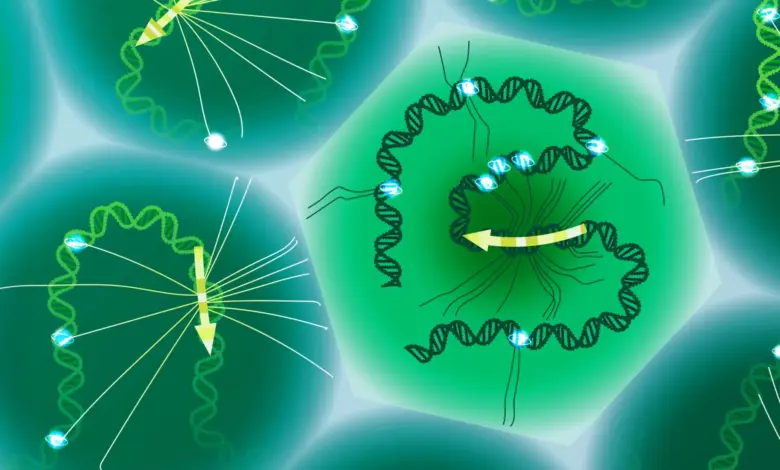 Cientistas decifram código oculto do DNA em estudo