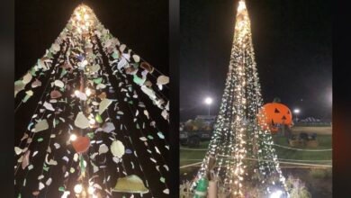 Pesquisador constrói árvore de Natal de vidro de 15 pés