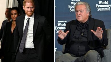 Prince Harry e Steve Bannon combatem desenvolvimento de AI