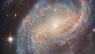 Hubble revela anel de estrelas em nova missão científica