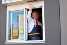AI e empregos: o impacto das decisões de Trump