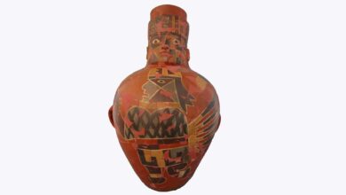 Pesquisa revela cerveja psicodélica em ritual pré-Inca