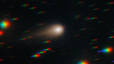 NASA monitora cometas interstelar com sondas em órbita