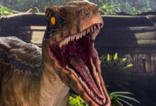Hackers da China usam ferramenta Velociraptor em ransomware