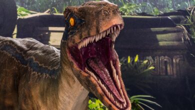Hackers da China usam ferramenta Velociraptor em ransomware
