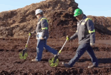 ScottsMiracle-Gro economiza $150M com inteligência artificial