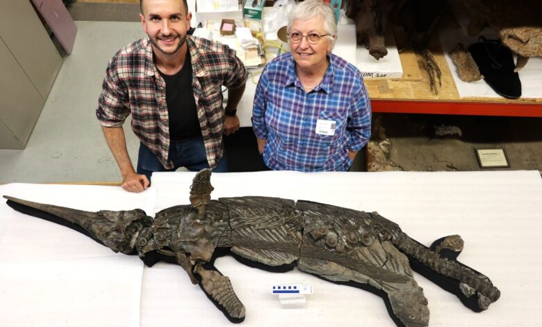 Descoberta científica revela novo dinossauro do Jurássico