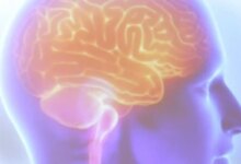 Cientista visualiza DNA e imagem de cérebro. Logo 'Projeto Ártemis'. Pesquisa genética AVC.