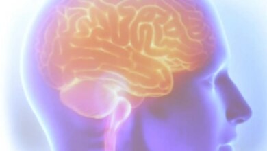 Cientista visualiza DNA e imagem de cérebro. Logo 'Projeto Ártemis'. Pesquisa genética AVC.