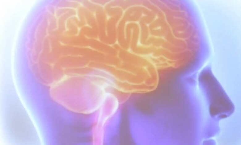 Cientista visualiza DNA e imagem de cérebro. Logo 'Projeto Ártemis'. Pesquisa genética AVC.